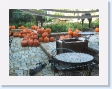 It's nearly Hallowe'en!